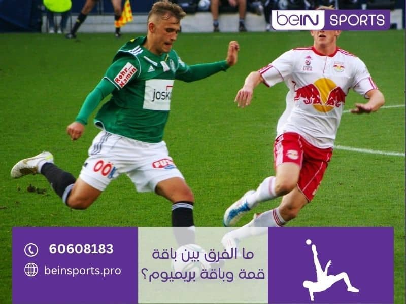 ما الفرق بين باقة قمة وباقة بريميوم؟